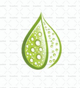 Tautropfen auf einem Blatt